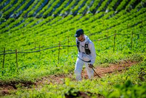 BIB: 
                            <button type="button" onclick="openModal(19162389)" class="btn btn-primary btn-sm float-right btn-popup" data-toggle="modal" data-target=".modal-high-quality">
                        <i class="fas fa-shopping-cart"></i> Add to Cart
                    </button>
                                            <button type="button" onclick="isThisMe(19162389, true)" class="btn btn-success btn-sm float-right btn-popup btn-isme hidden" data-toggle="tooltip" data-placement="bottom" title="นี่คือรูปของคุณใช่ไหม คลิกที่นี่เพื่อเอาเข้าอัลบั้ม">
                        <i class="fas fa-plus"></i> Add to album
                    </button>
                    <button type="button" onclick="isThisMe(19162389, false)" class="btn btn-warning btn-sm float-right btn-popup btn-isnotme hidden">
                        <i class="fas fa-ban"></i> Remove from album
                    </button>